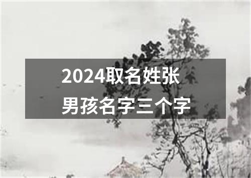 2024取名姓张男孩名字三个字