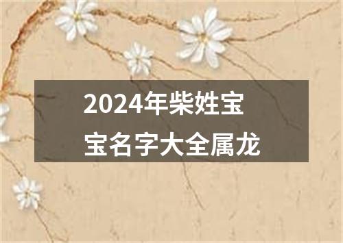 2024年柴姓宝宝名字大全属龙