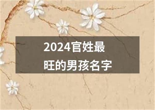 2024官姓最旺的男孩名字