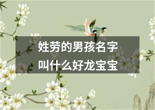 姓劳的男孩名字叫什么好龙宝宝