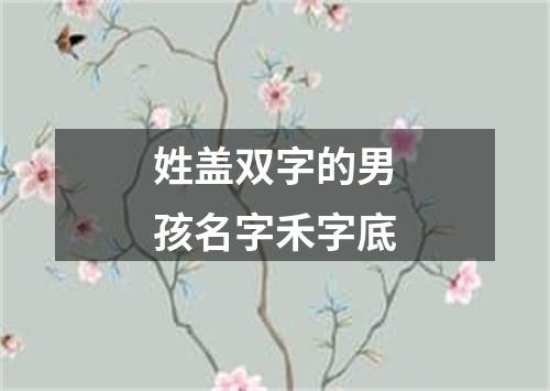 姓盖双字的男孩名字禾字底