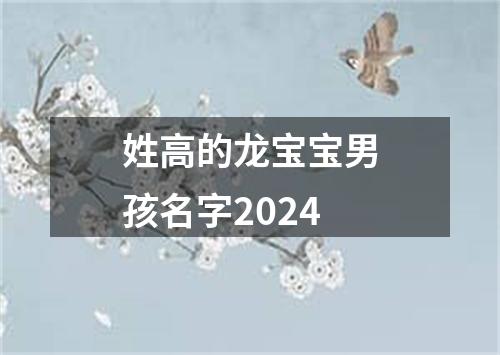 姓高的龙宝宝男孩名字2024