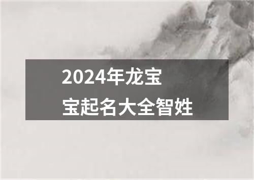 2024年龙宝宝起名大全智姓