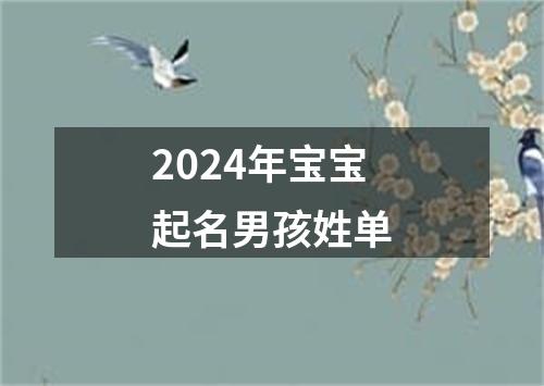 2024年宝宝起名男孩姓单