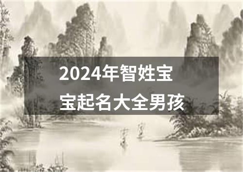 2024年智姓宝宝起名大全男孩