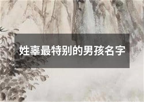 姓辜最特别的男孩名字