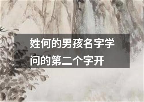 姓何的男孩名字学问的第二个字开