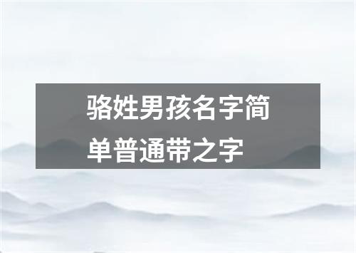 骆姓男孩名字简单普通带之字