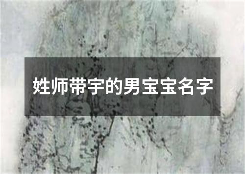 姓师带宇的男宝宝名字