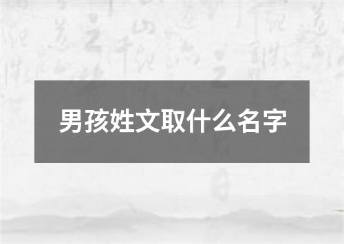 男孩姓文取什么名字