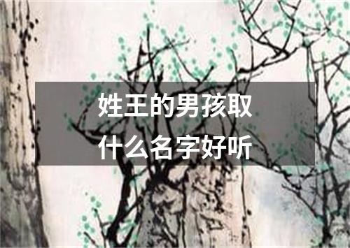 姓王的男孩取什么名字好听