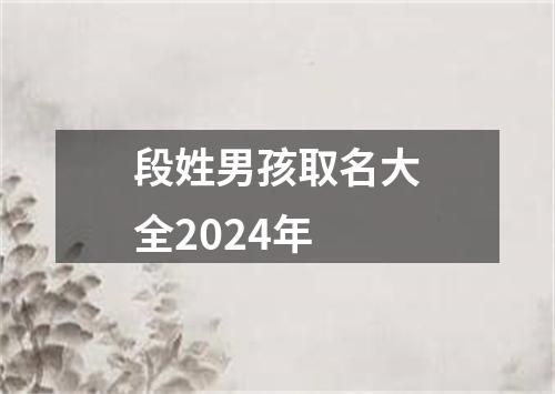 段姓男孩取名大全2024年