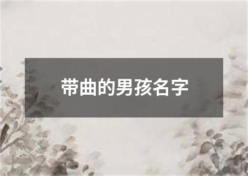 带曲的男孩名字