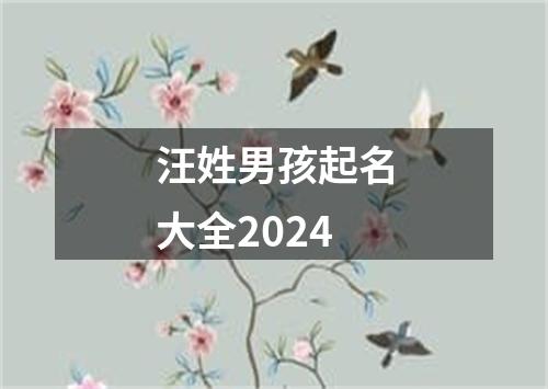 汪姓男孩起名大全2024