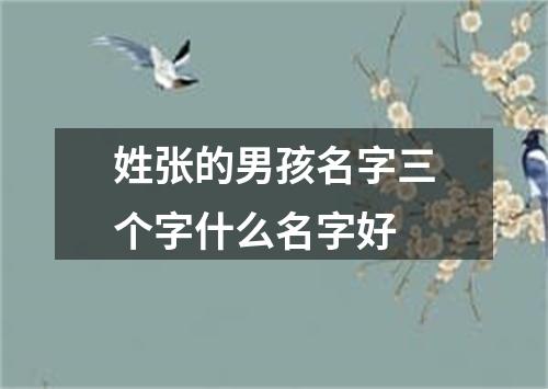 姓张的男孩名字三个字什么名字好