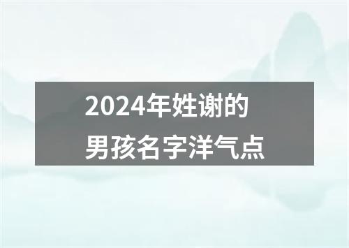 2024年姓谢的男孩名字洋气点