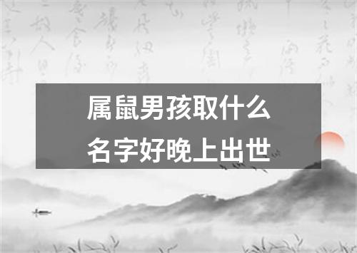 属鼠男孩取什么名字好晚上出世