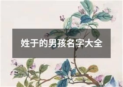 姓于的男孩名字大全