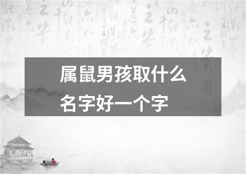 属鼠男孩取什么名字好一个字