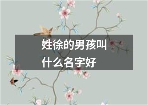 姓徐的男孩叫什么名字好