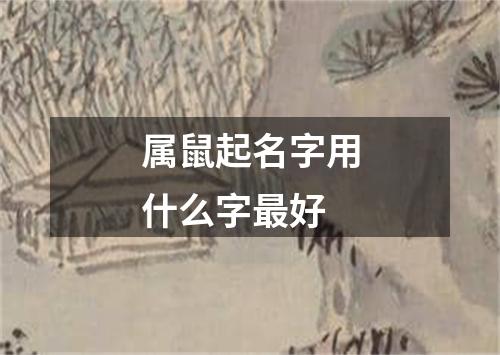 属鼠起名字用什么字最好