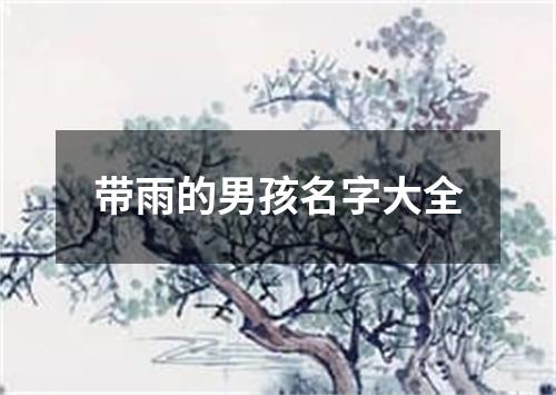 带雨的男孩名字大全