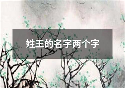 姓王的名字两个字