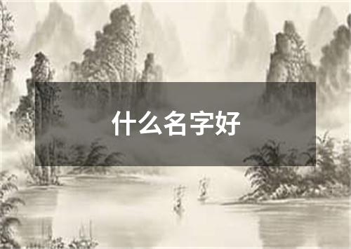 什么名字好