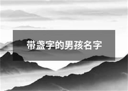 带盏字的男孩名字