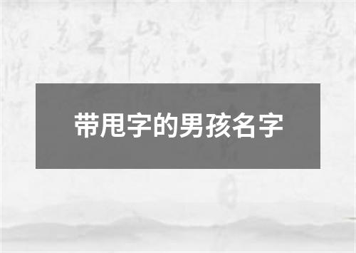 带甩字的男孩名字