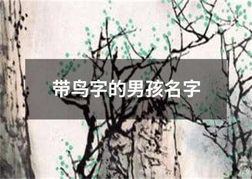 带鸟字的男孩名字