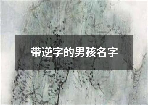 带逆字的男孩名字