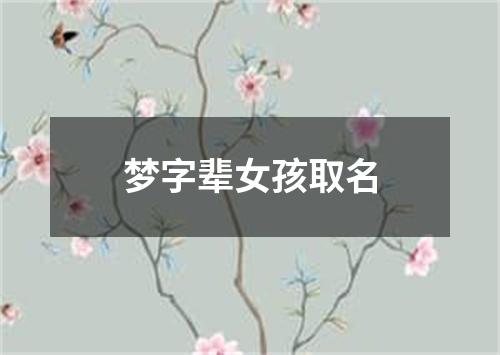 梦字辈女孩取名