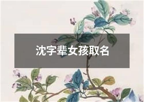 沈字辈女孩取名