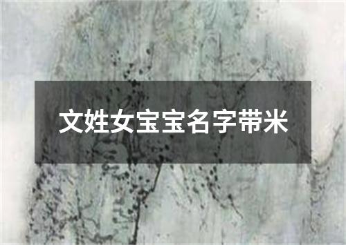 文姓女宝宝名字带米