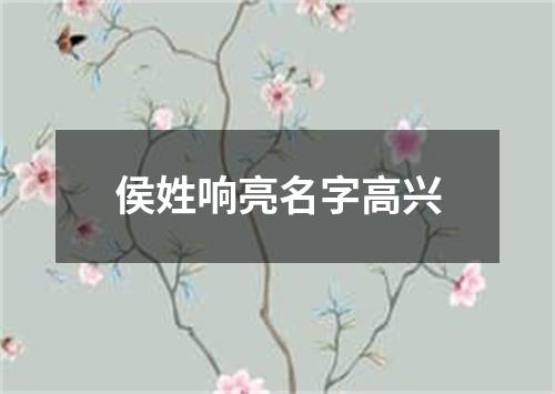 侯姓响亮名字高兴