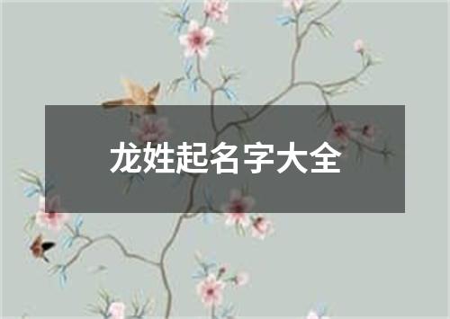 龙姓起名字大全