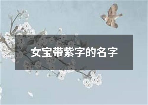 女宝带紫字的名字