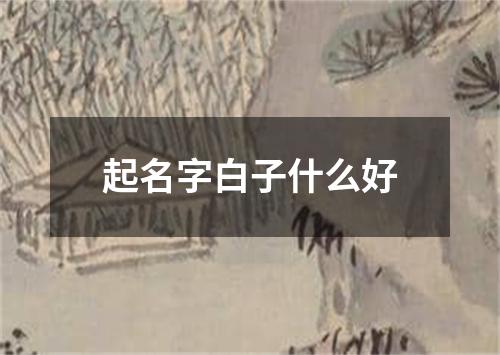 起名字白子什么好