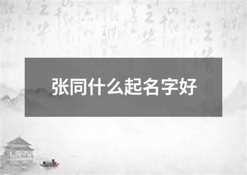 张同什么起名字好