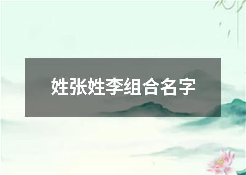 姓张姓李组合名字