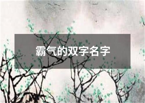 霸气的双字名字