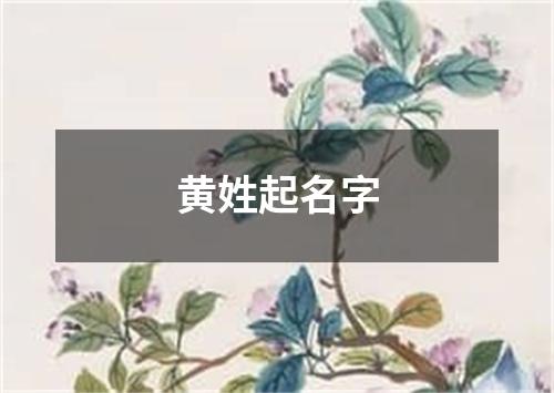 黄姓起名字