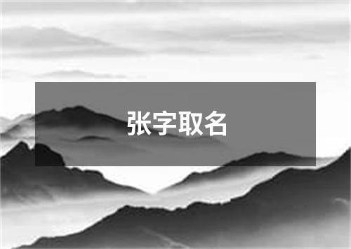 张字取名