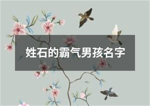 姓石的霸气男孩名字