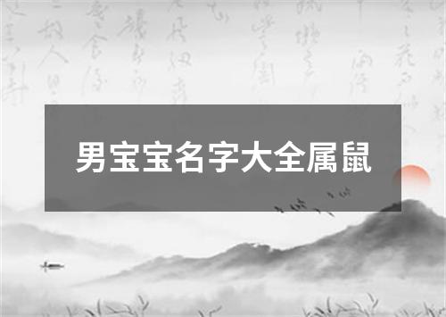 男宝宝名字大全属鼠