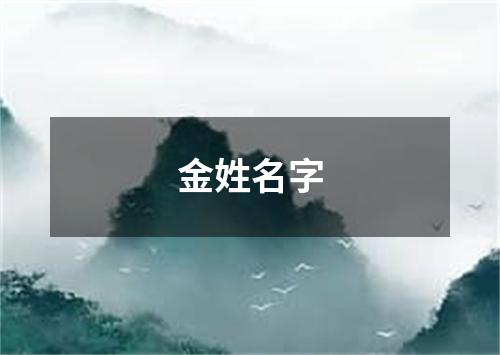 金姓名字