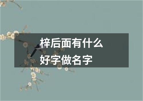 梓后面有什么好字做名字