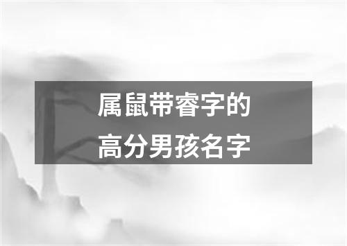 属鼠带睿字的高分男孩名字