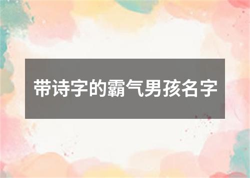 带诗字的霸气男孩名字